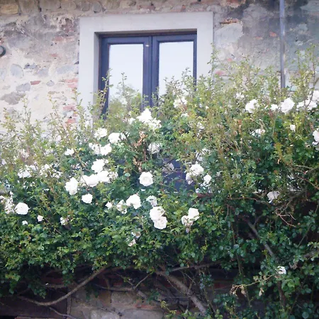 Molino Le Gualchiere