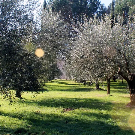 Molino Le Gualchiere Hotel 3*