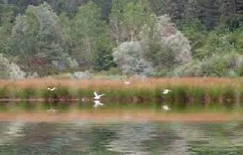 Molino Le Gualchiere