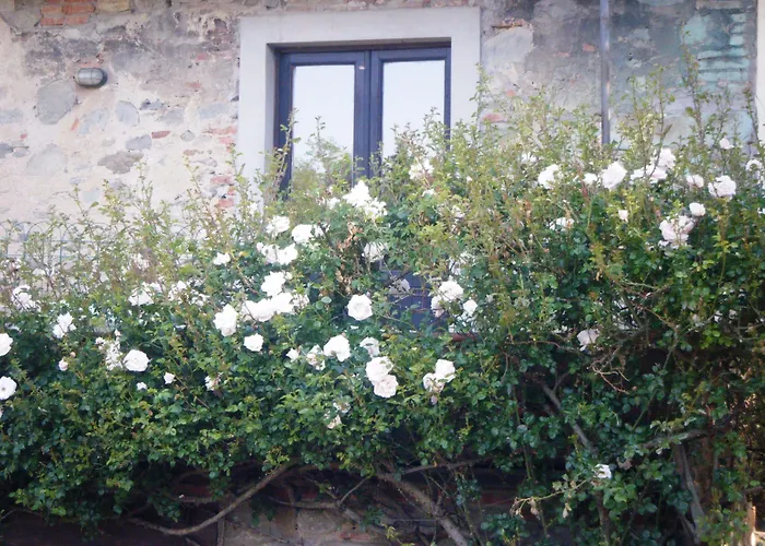 Molino Le Gualchiere