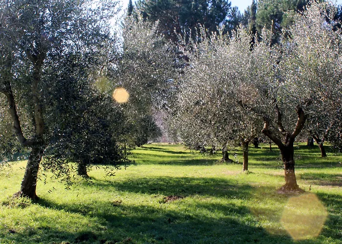 Molino Le Gualchiere Hotell 3*