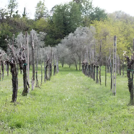 Отель Molino Le Gualchiere Террануова-Браччолини